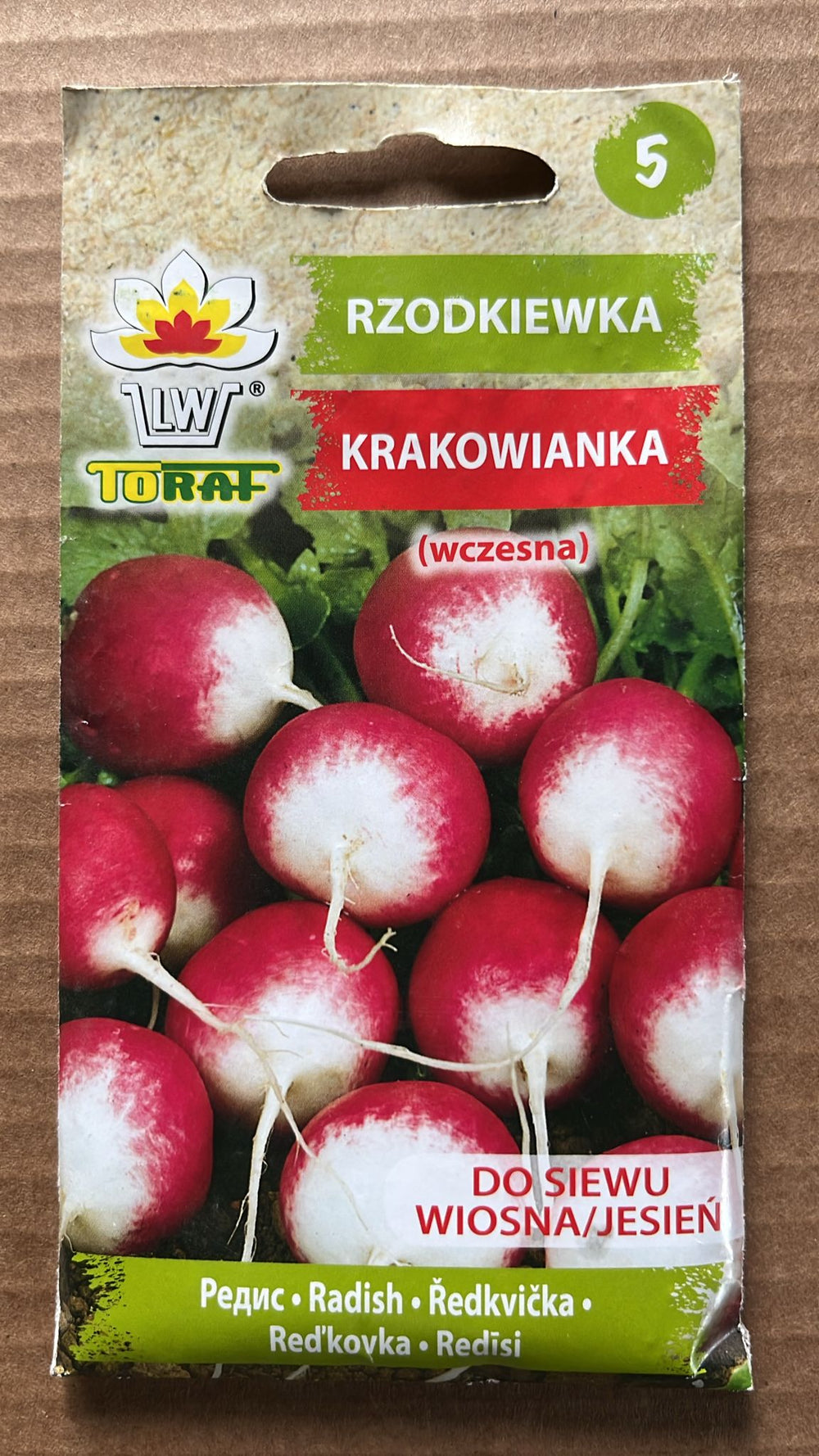 Semințe de ridichi KRAKOWIANKA, 10 g, Toraf