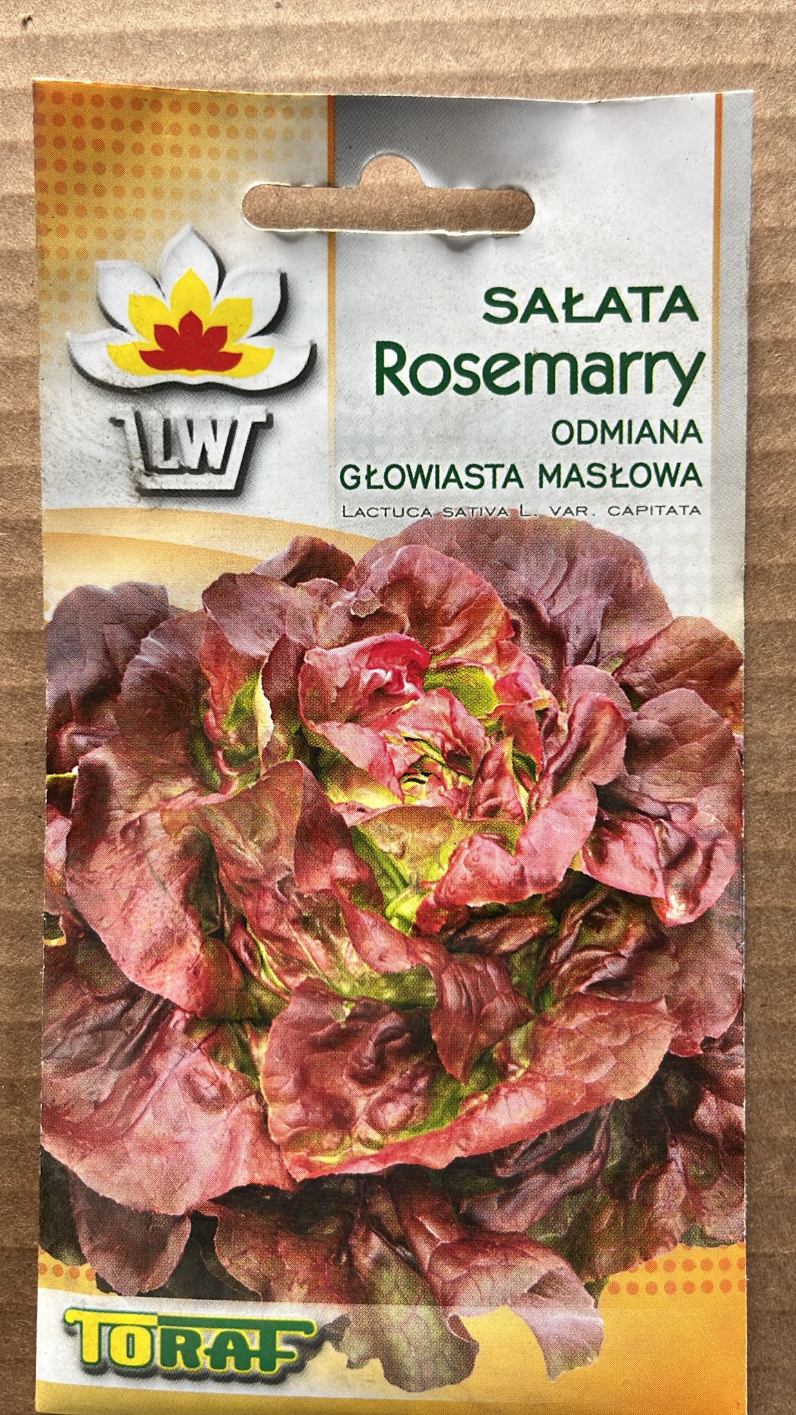 Semințe de salată ROSEMARY, 1 g, Toraf