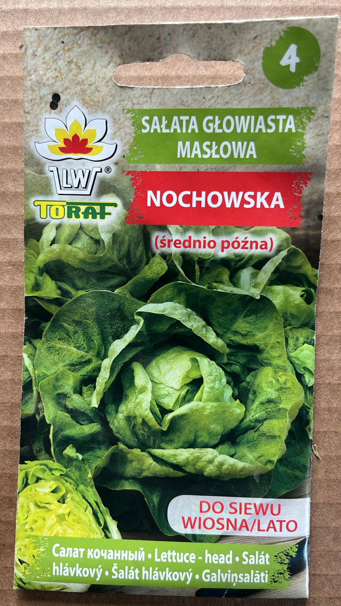 Semințe de salată NOCHOWSKA, 1 g, Toraf