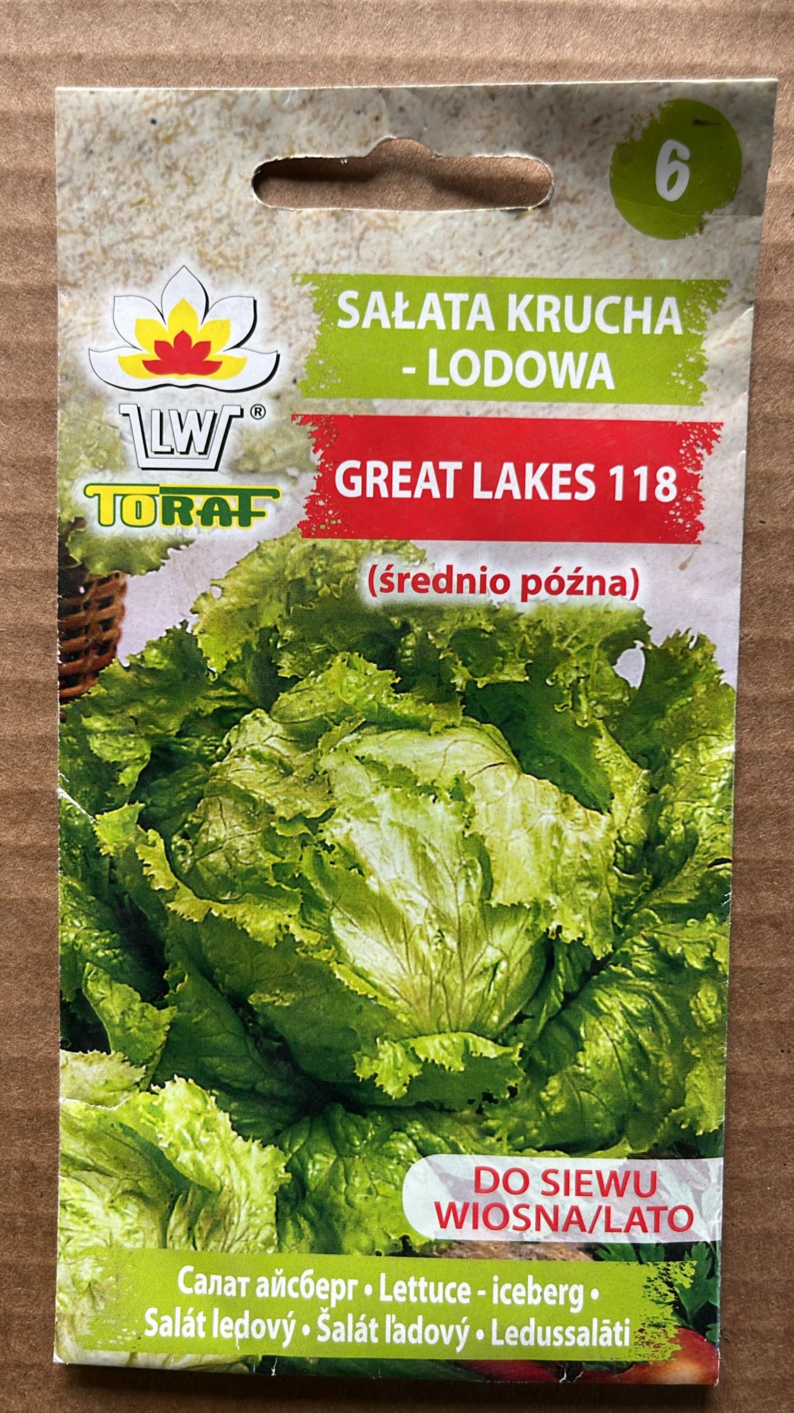 Semințe de salată GREAT LAKES 118, 1g, Toraf