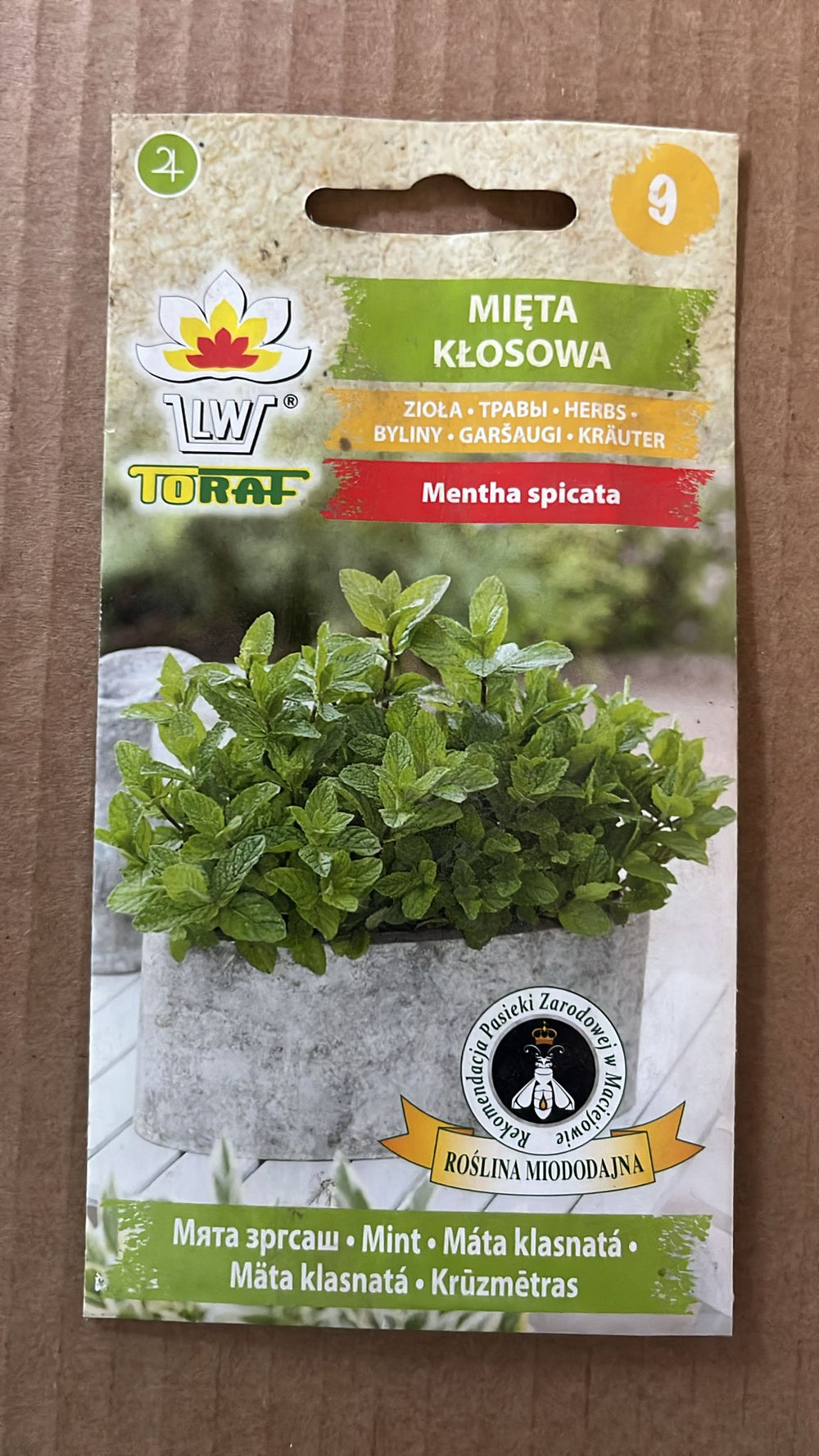 Semințe de mentă creață, 0,1g, Toraf