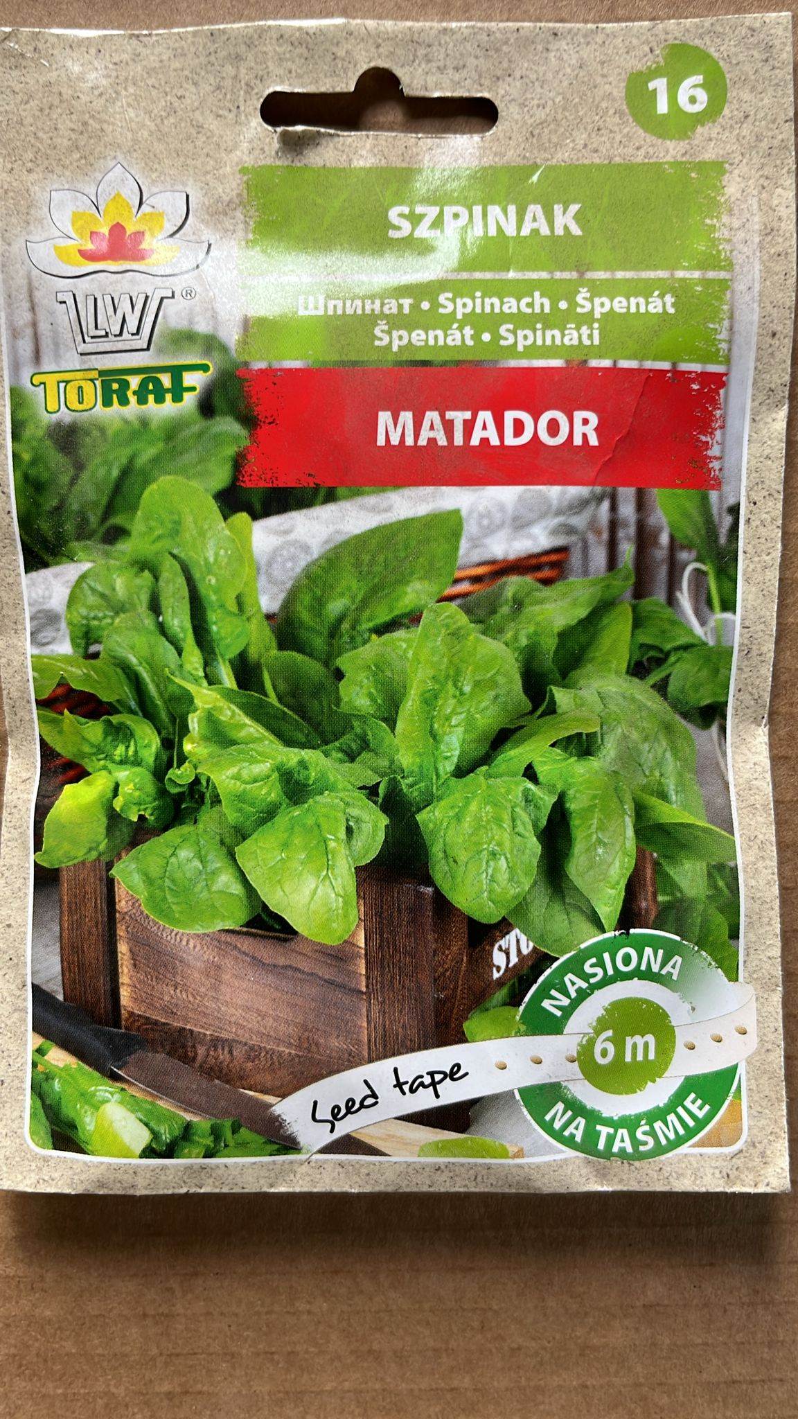 Semințe de spanac MATADOR MARE, Toraf