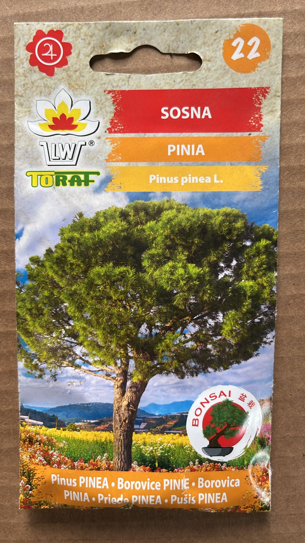 Semințe de pin mediteranean, Toraf