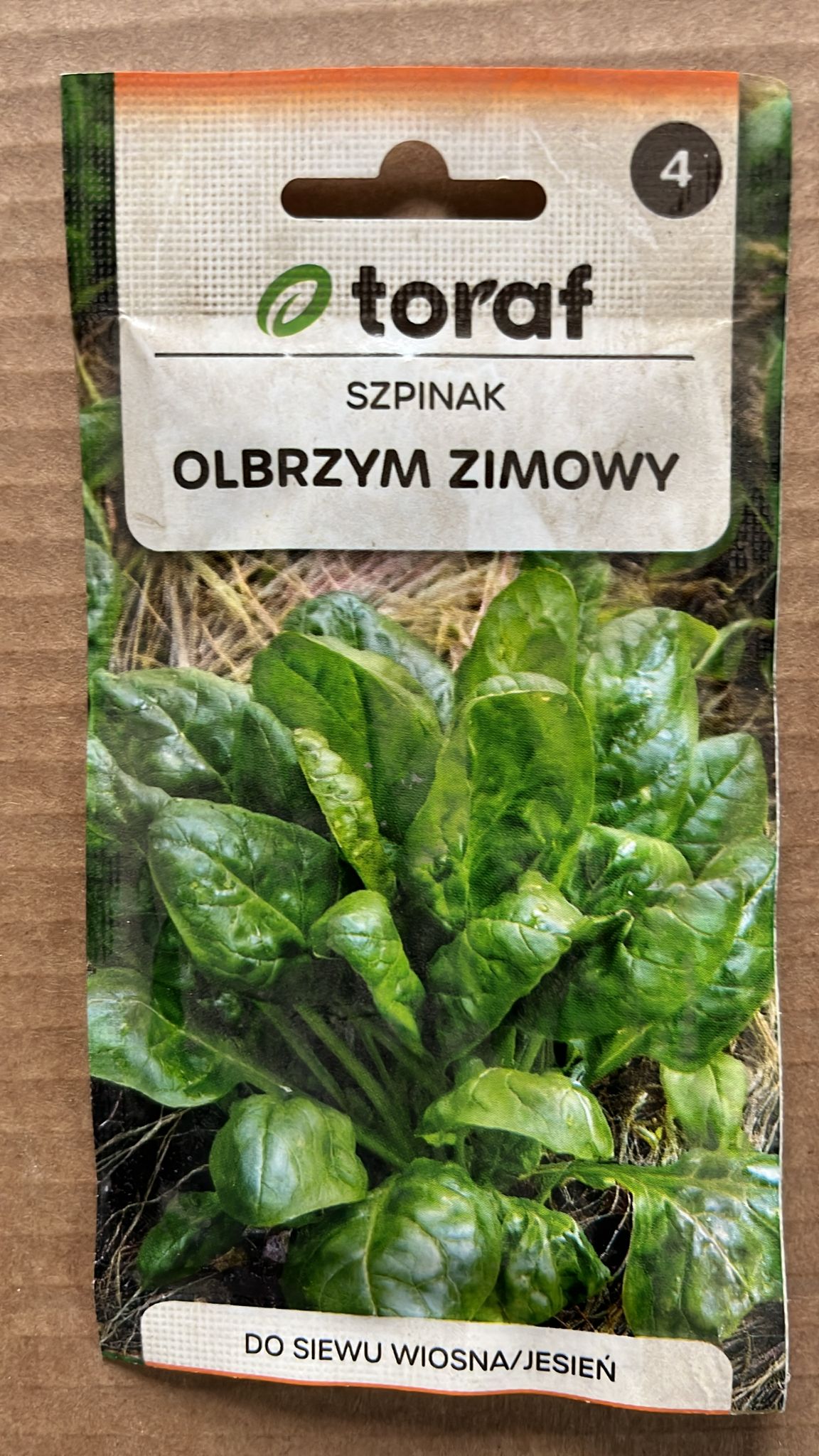 Semințe de spanac OLBRZYM ZIMOWY, 10g, Toraf
