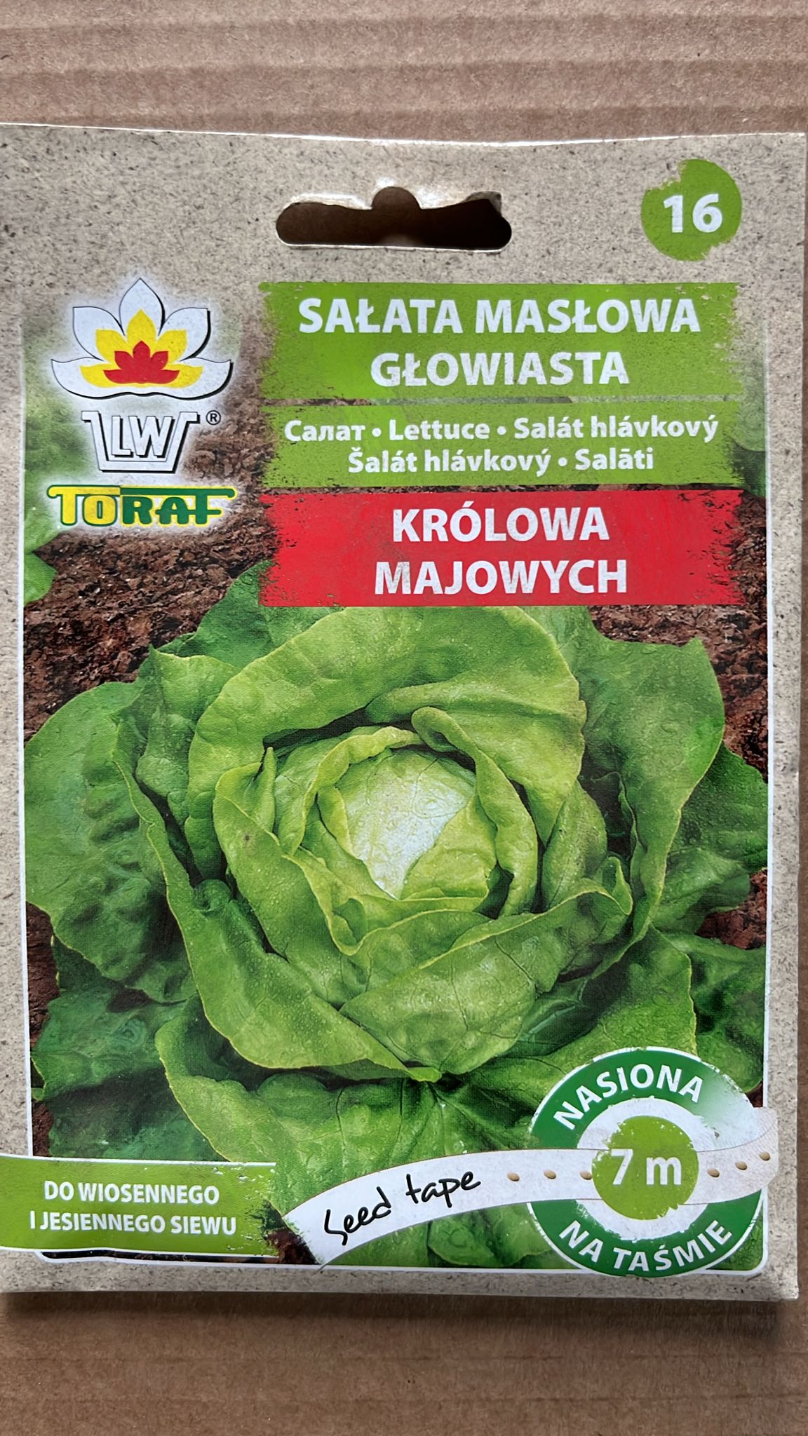 Semințe de salată KRÓLOWA MAJOWYCH MARE, Toraf