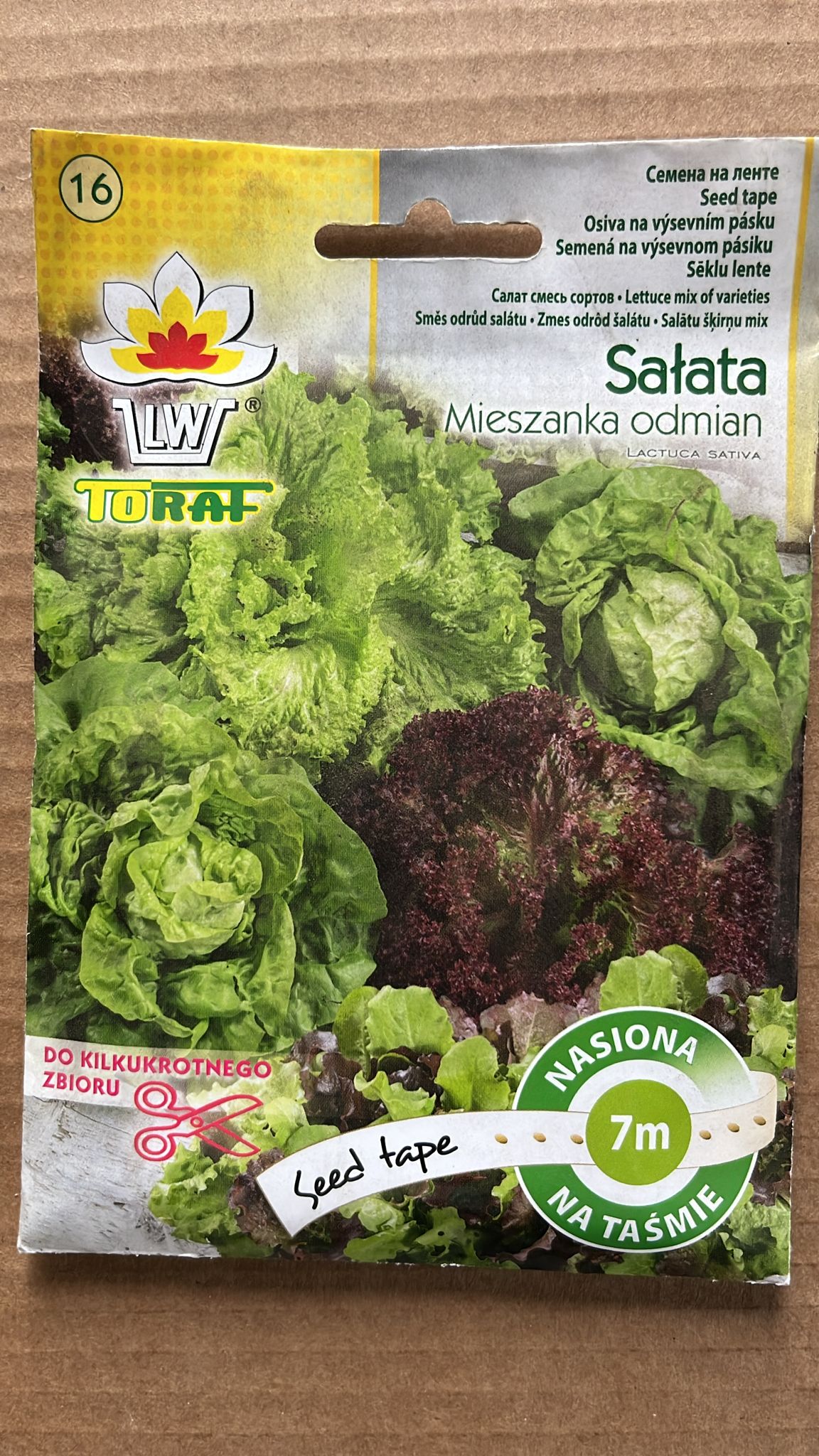 Semințe de salată MIESZANKA ODMIAN MARE, Toraf