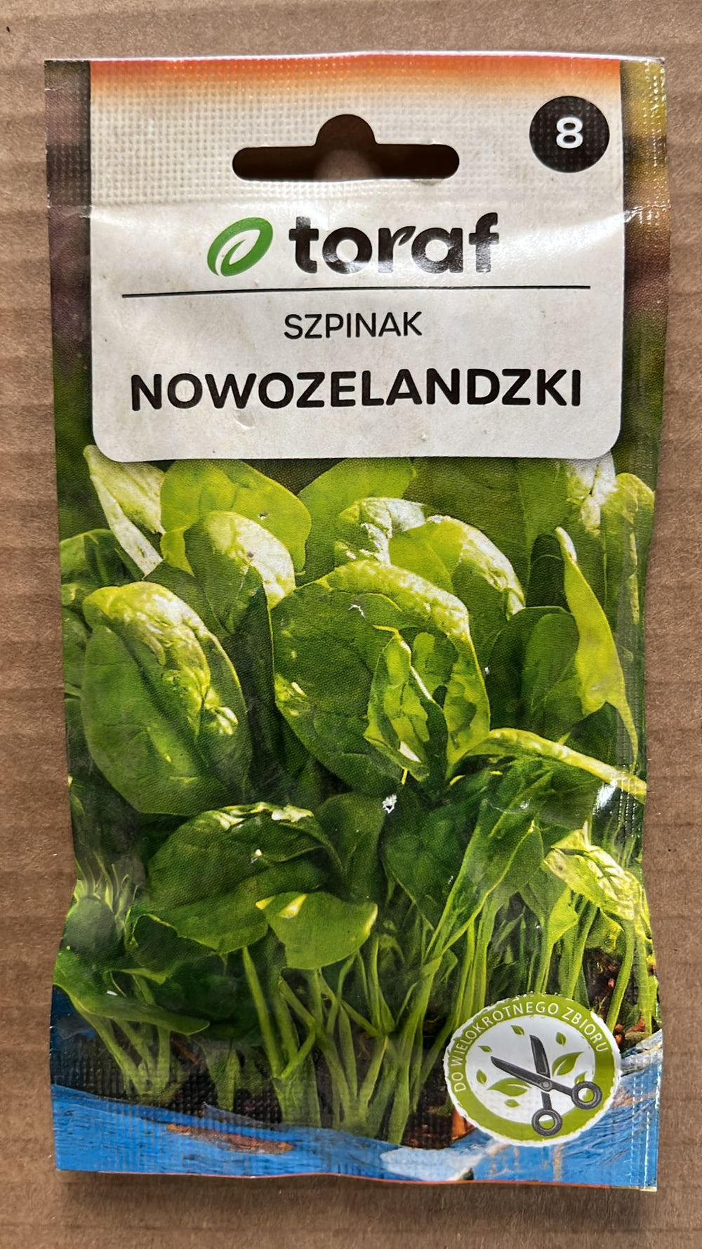 Semințe de spanac NOWOZELANDZKI, 5g, Toraf