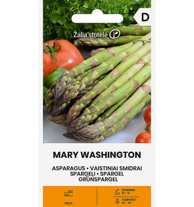 Sparanghel Mary Washington