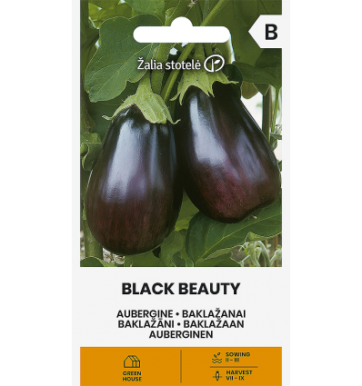 Vinete Black Beauty
