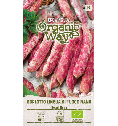 Fasole pitică Borlotto Lingua Di Fouco Nano