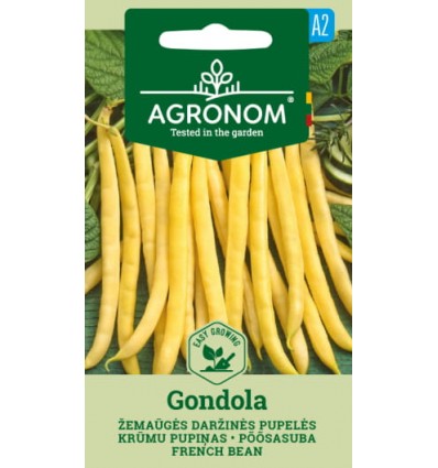 Fasole pitică păstăi Gondola