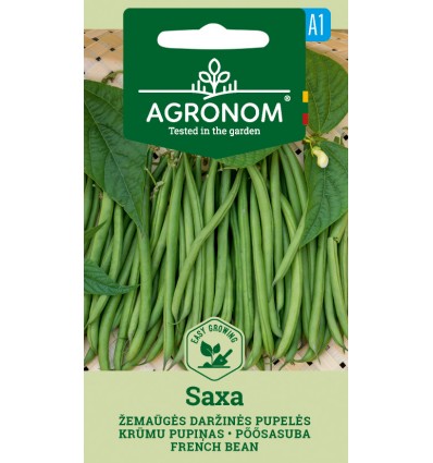 Fasole pitică păstăi Saxa