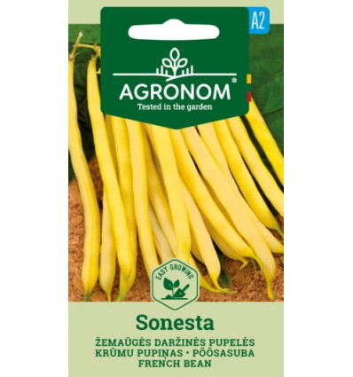 Fasole pitică păstăi Sonesta