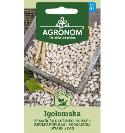 Fasole pitică boabe Igołomska
