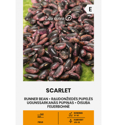 Fasole urcătoare Scarlet