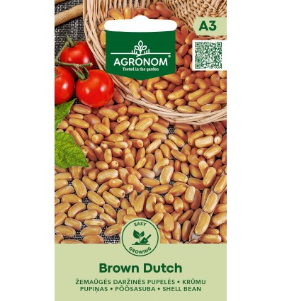 Fasole pentru boabe Brown Dutch