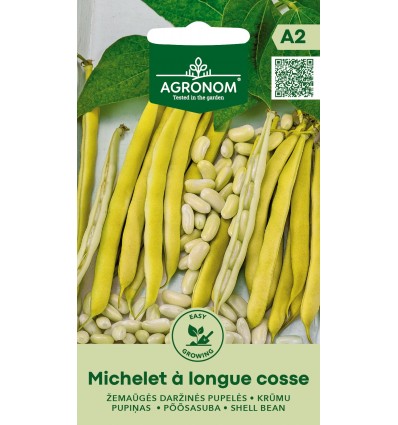 Fasole pentru boabe Michelet A Longue Cosse