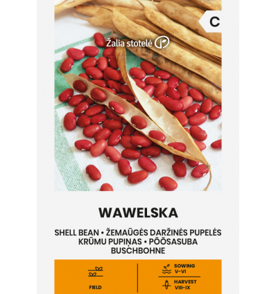 Fasole pentru boabe Wawelska
