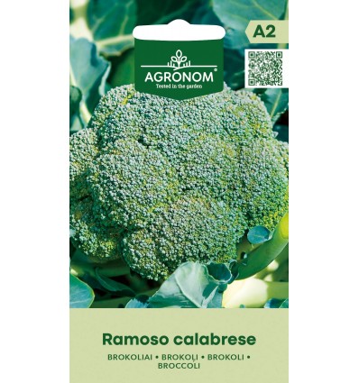 Broccoli Ramoso Calabrese