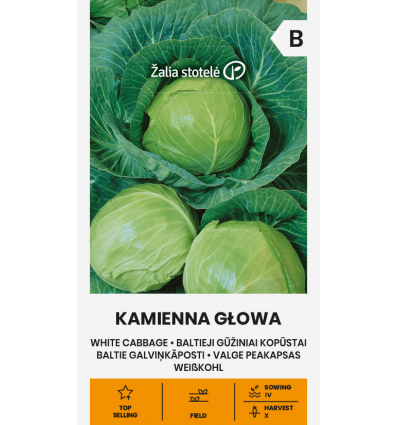 Varză White Kamienna Głowa