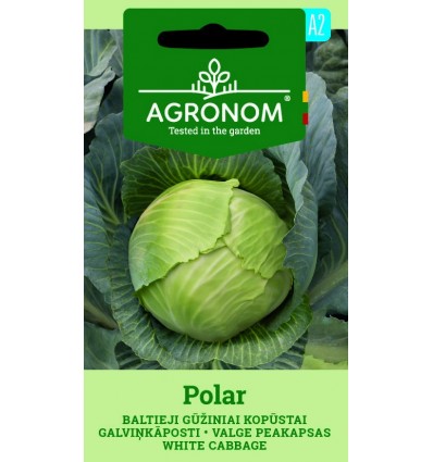 Varză White Polar