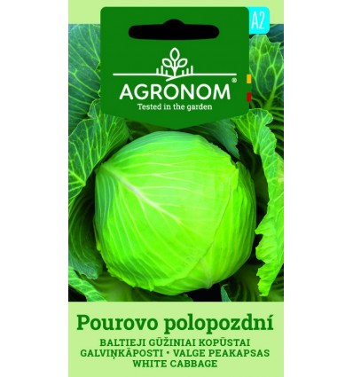 Varză White Pourovo Polopozdní