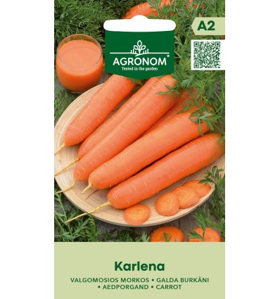 Morcov Karlena