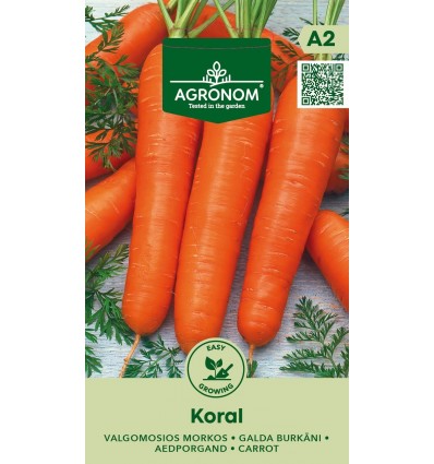 Morcov Koral