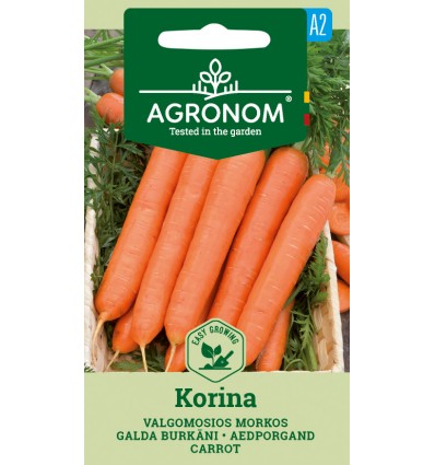 Morcov Korina