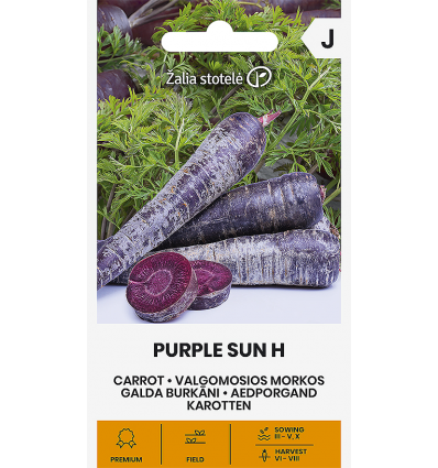 Morcov Purple Sun H