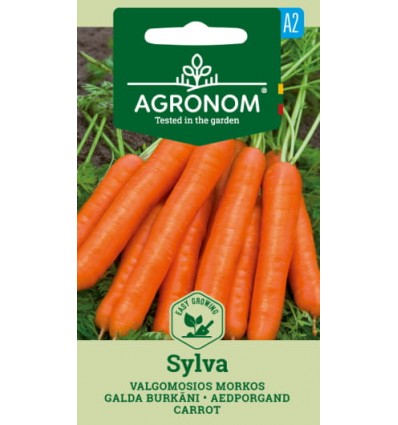 Morcov Sylva