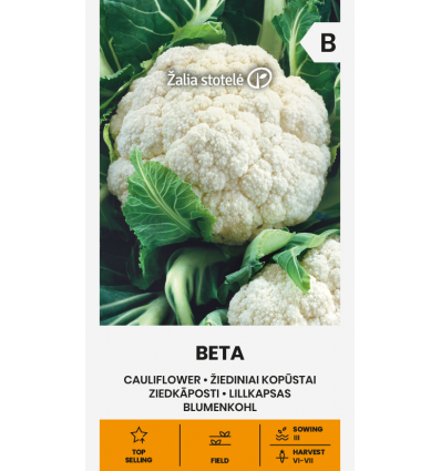 Conopidă Beta