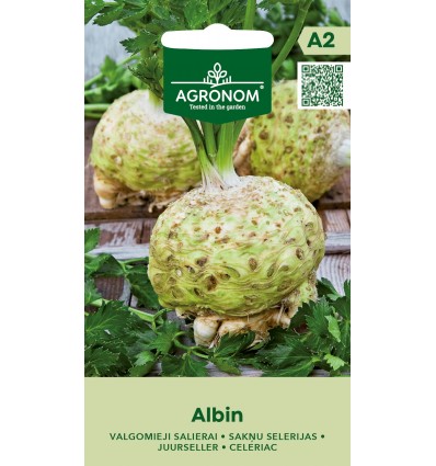 Țelină de rădăcină Albin