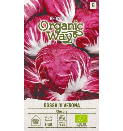 Cicoare Rossa Di Verona