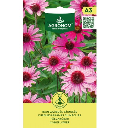 Echinacea