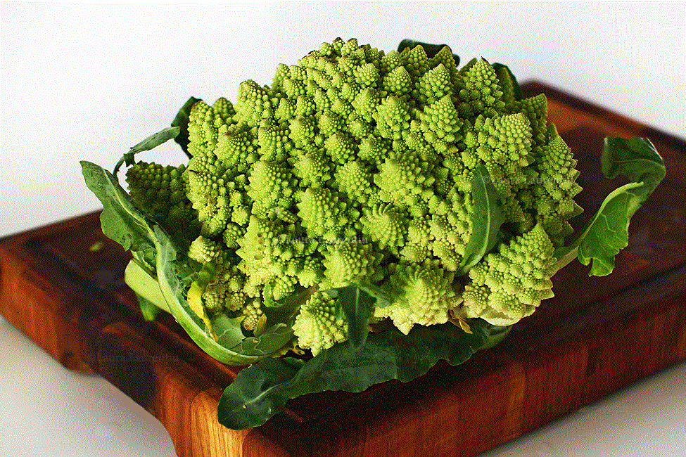 Conopida Romanesco , 1g seminte