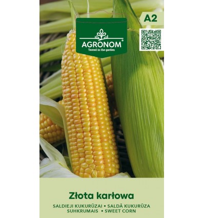 Porumb Sweet Złota Karłowa
