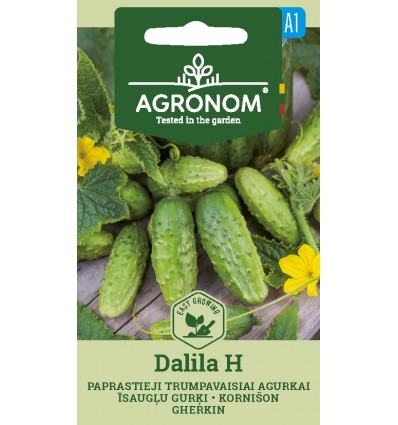 Castraveți (Gherkin) Dalila H