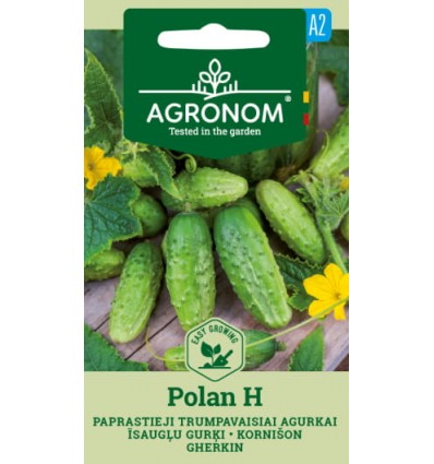 Castraveți (Gherkin) Polan H