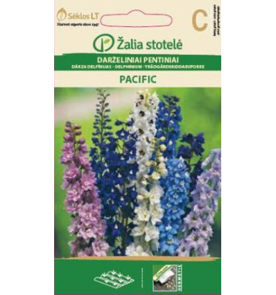 Delphinium Pacific