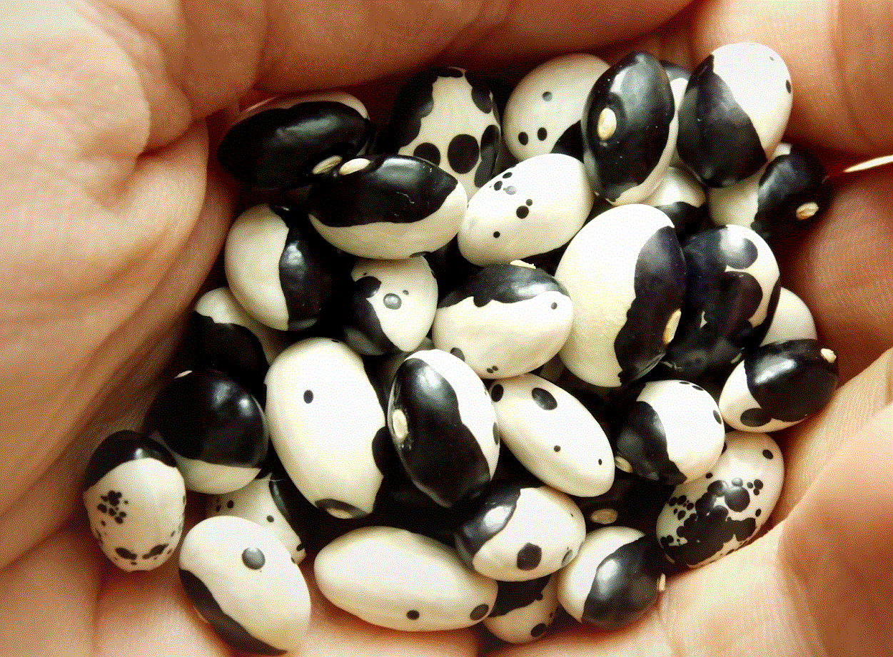 Fasole franțuzească Yin-Yang , 10g seminte