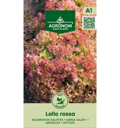 Salată Lollo Rossa