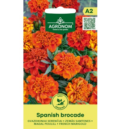 Crăițe Spanish Brocade