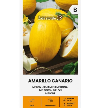 Pepene galben Amarillo Canario