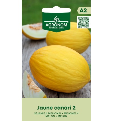 Pepene galben Jaune Canari 2