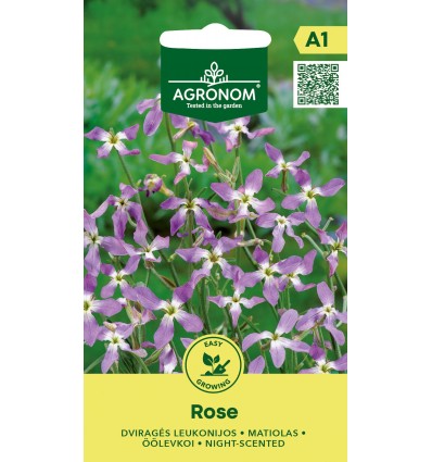 Micsandre de noapte Rose
