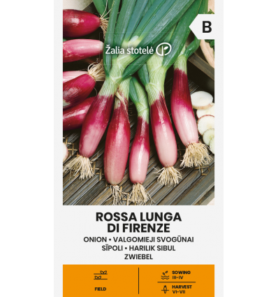 Ceapă Rossa Lunga Di Firenze