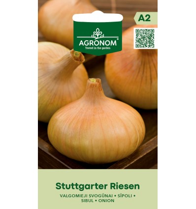 Ceapă Stuttgarter Riesen