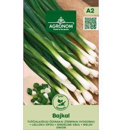 Ceapă de tuns Bajkal