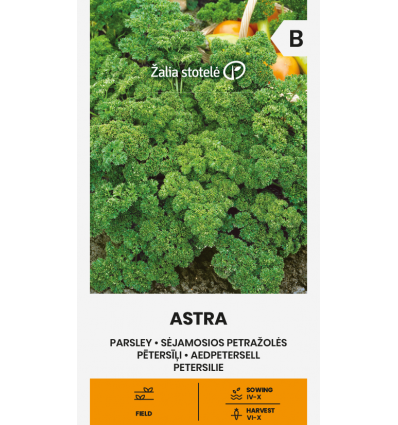 Pătrunjel Astra